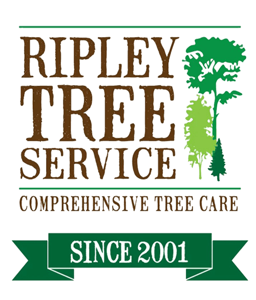 Ripley Tree Service