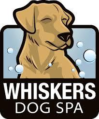 Whiskers Dog Spa