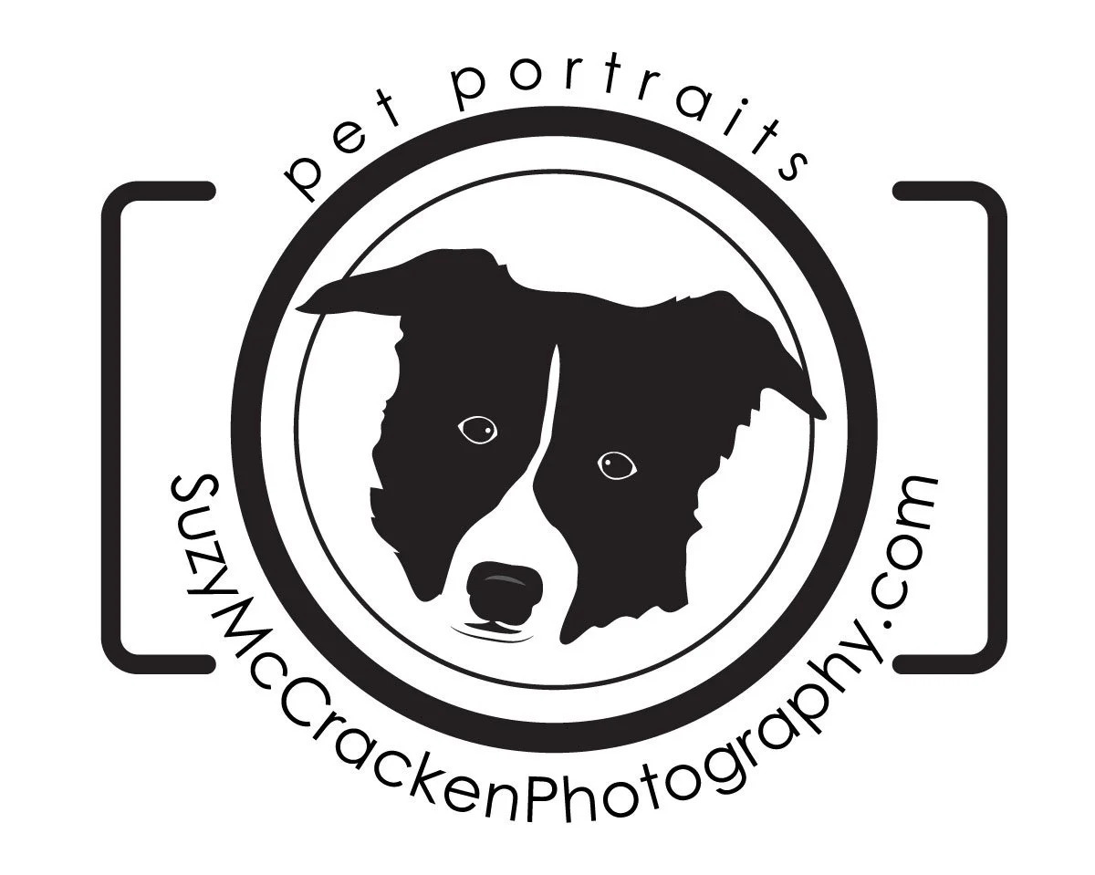Suzy McCracken Photography