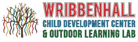 Wribbenhall Childhood Development