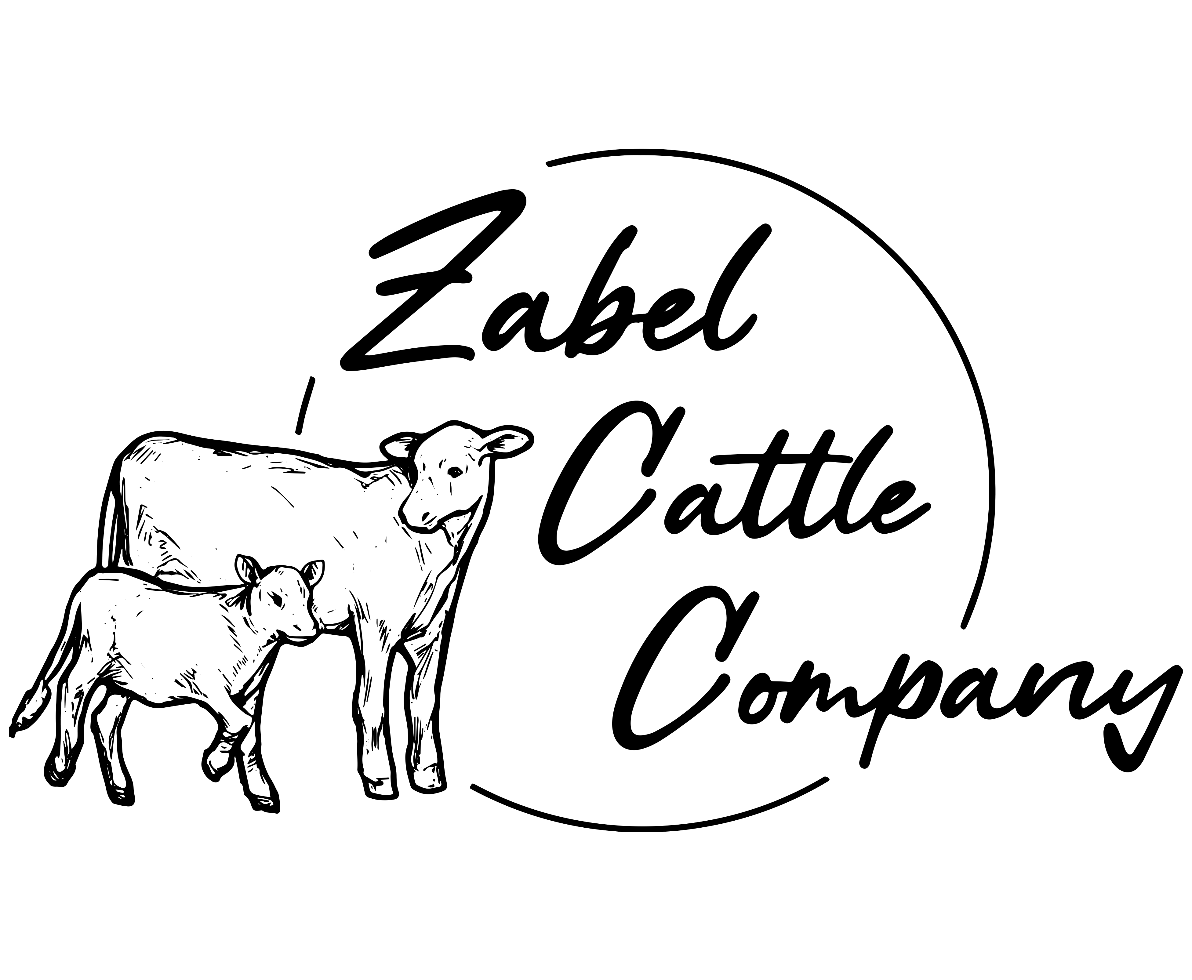 Zabel Cattle Company