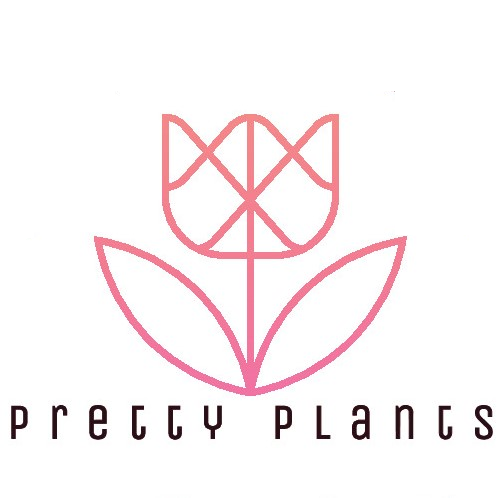 Pretty Plants