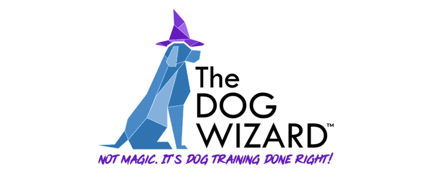 The Dog Wizard