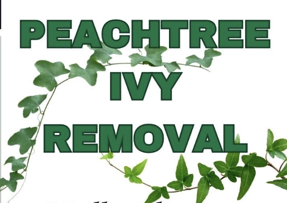 Peachtree Ivy Removal