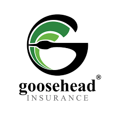 Goosehead Insurance Noah Taxman