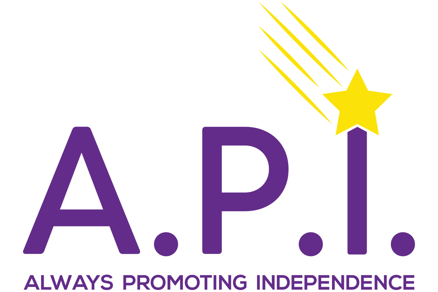 Always Promoting Independence Homecare