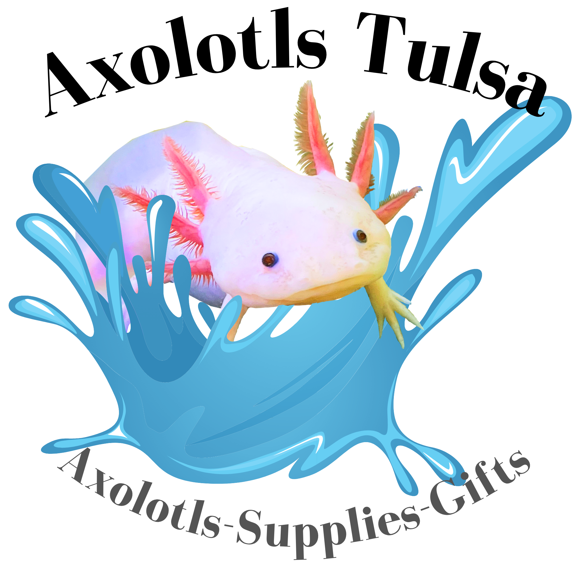 Axolotls Tulsa