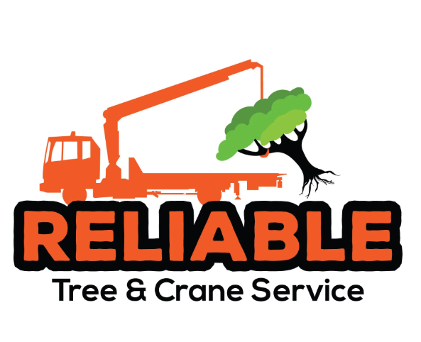 Reliable Tree & Crane