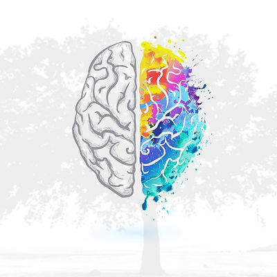 AVO Behavioral Health