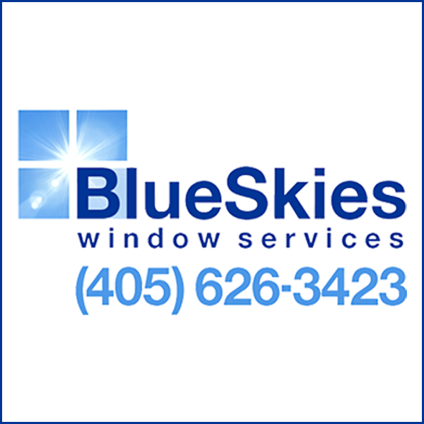 BlueSkies Window Services