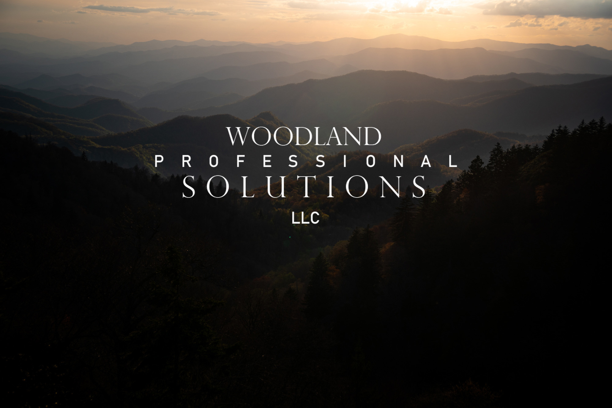 Woodland Professional Solutions, LLC