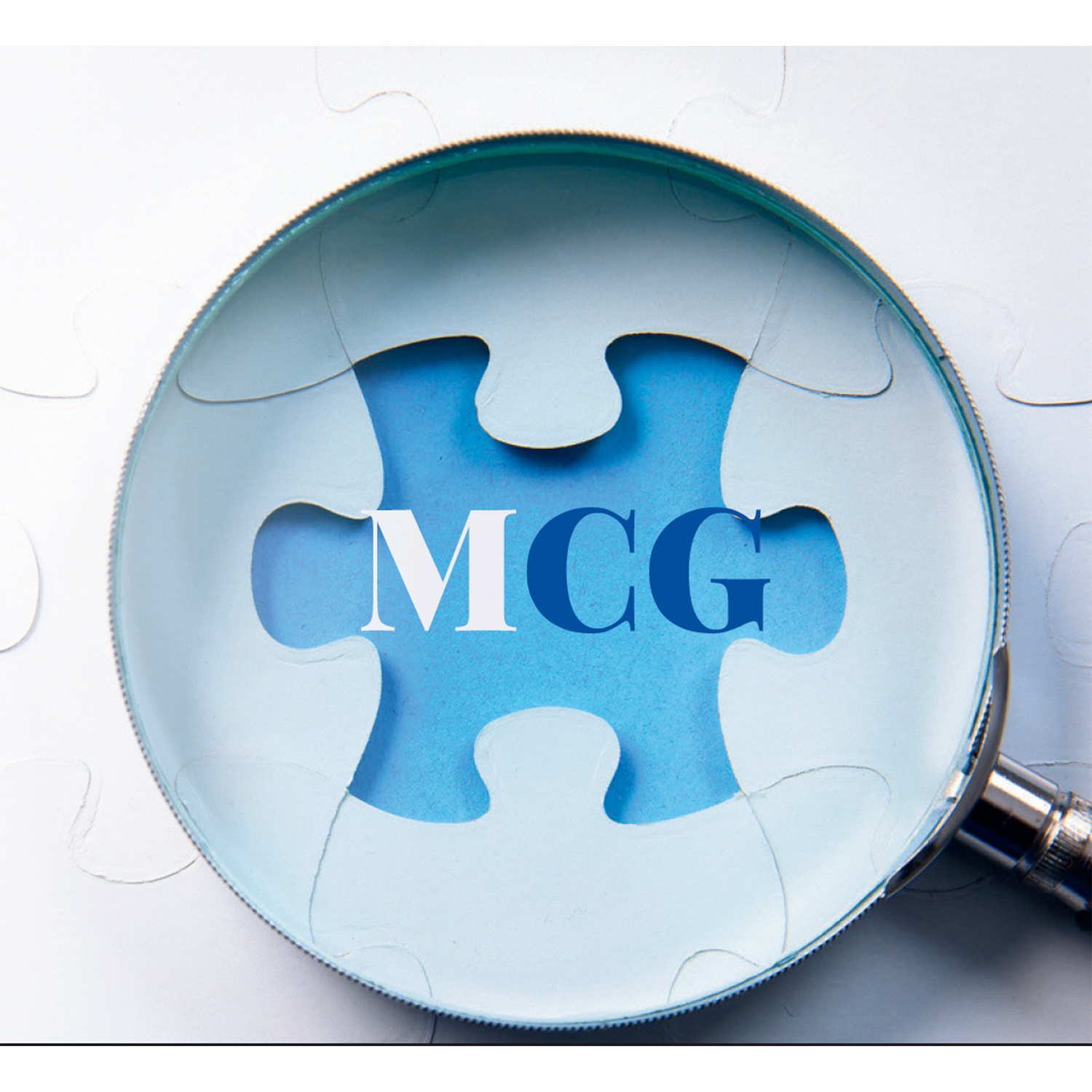 Mold Consultant Group