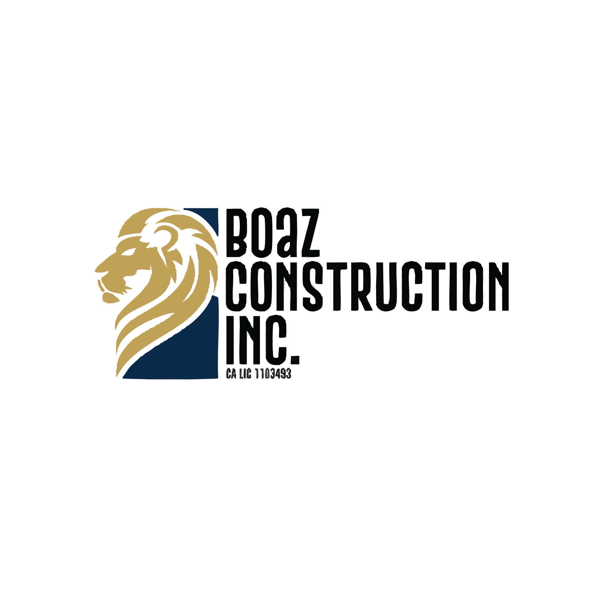 Boaz Construction