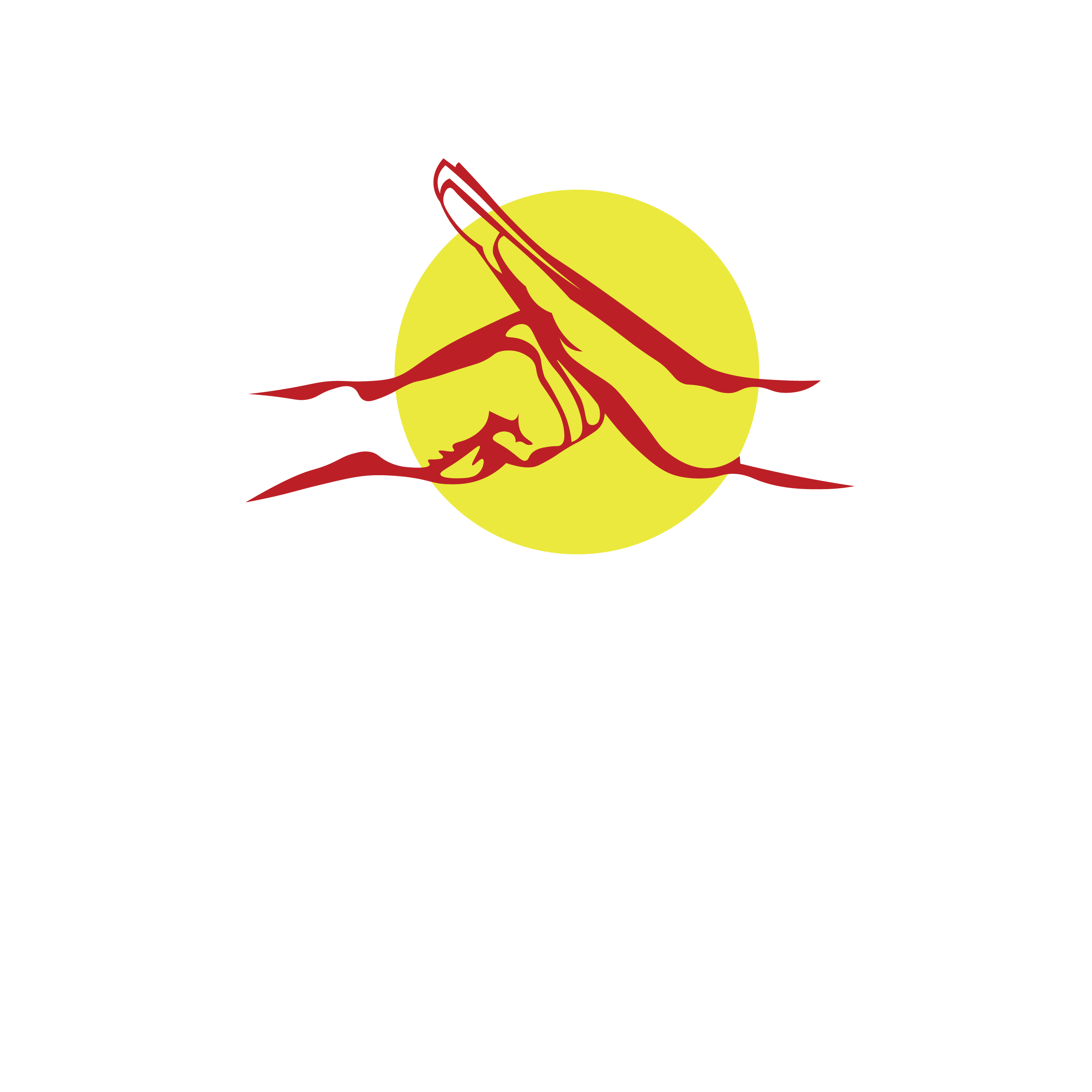 Warrior Meets Scholar Coaching & Consulting