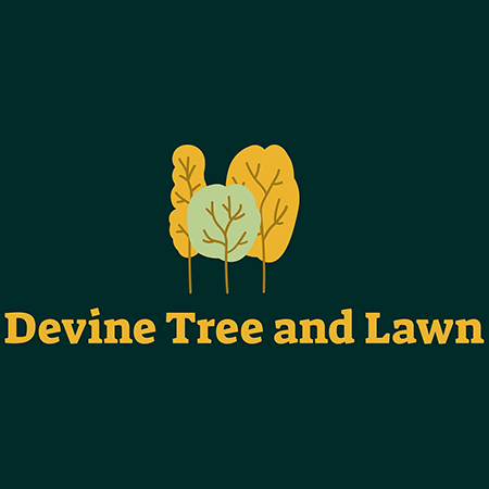 Devine Tree and Lawn LLC