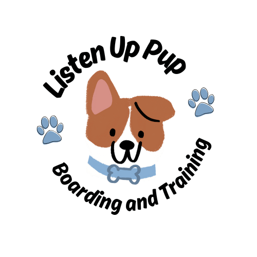 Listen Up Pup