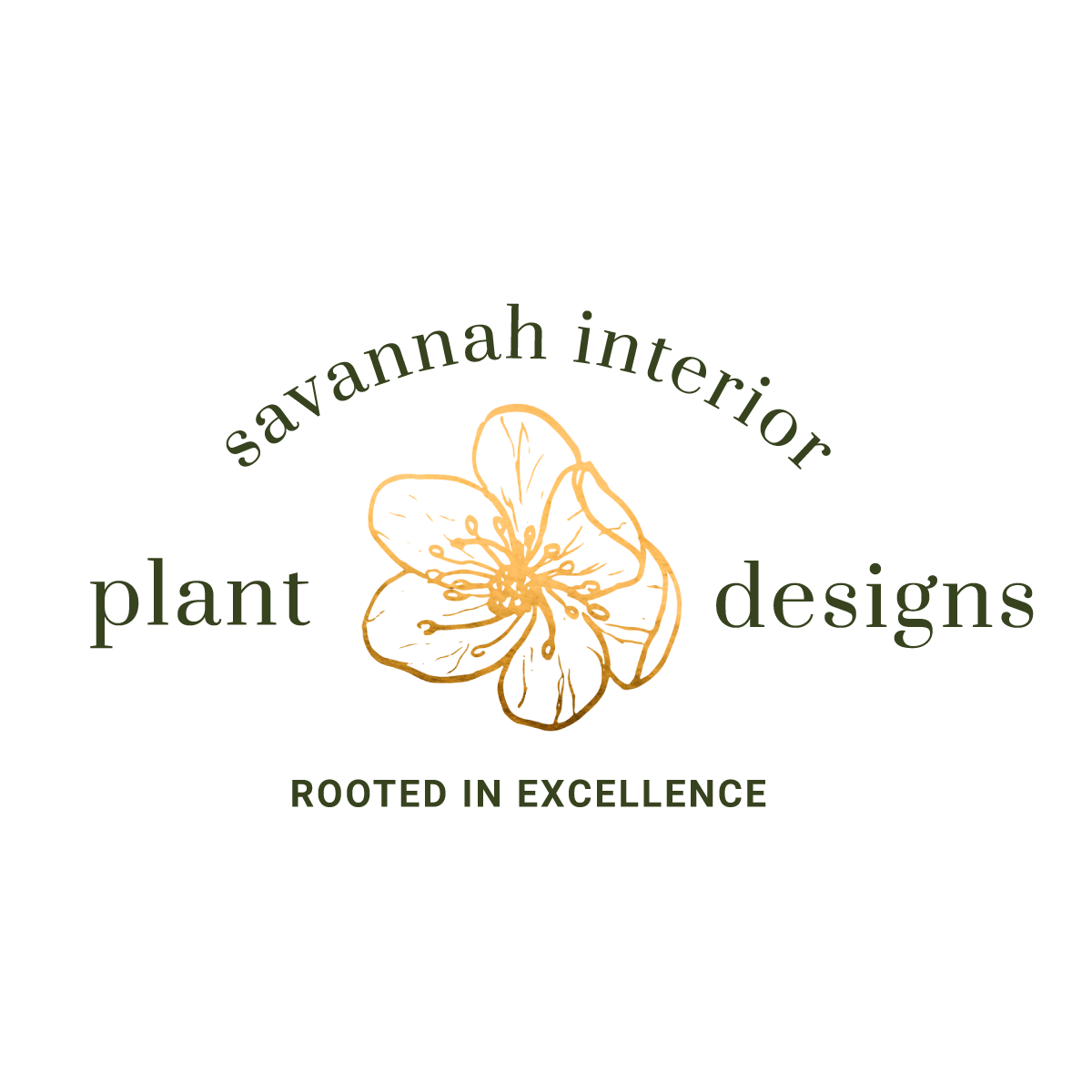Savannah Interior Plant Designs