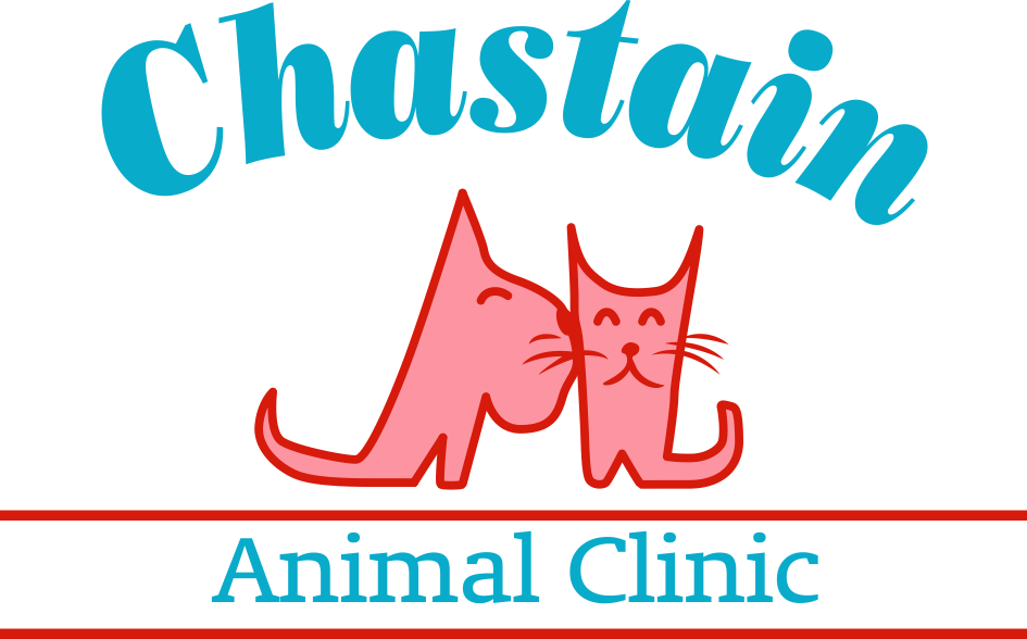 Chastain Animal Clinic