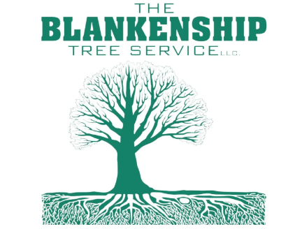 The Blankenship Tree Service