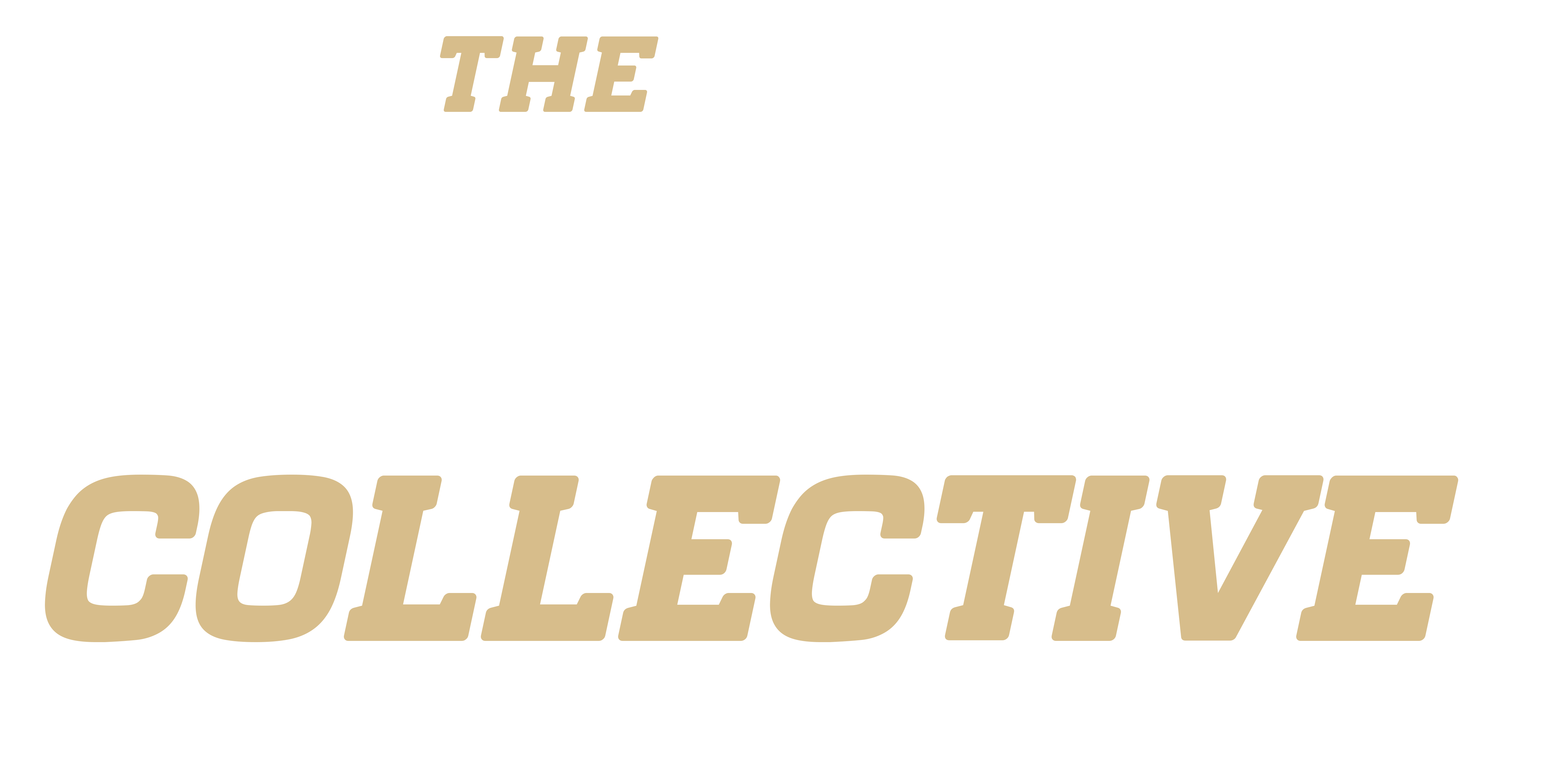 Birdie Collective Golf Lounge