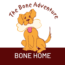 The Bone Adventure