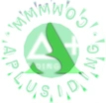A Plus Siding