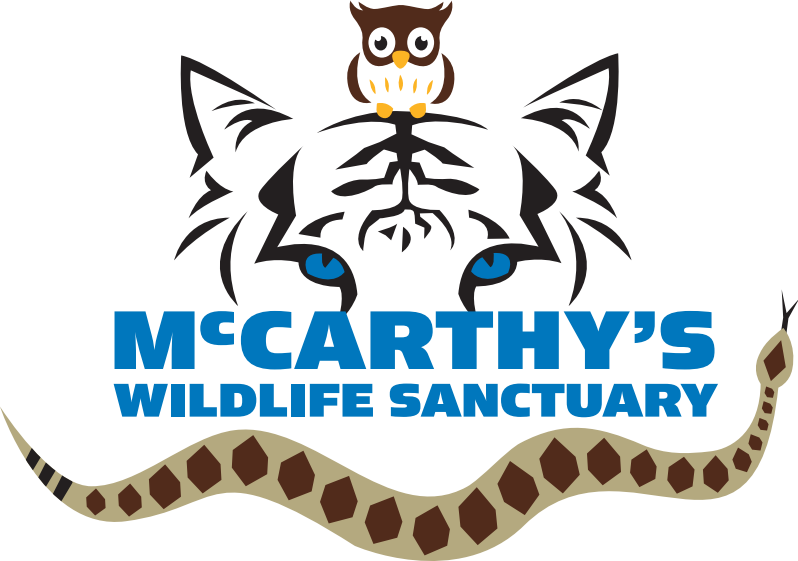 McCarthy's Wildlife Sanctuary