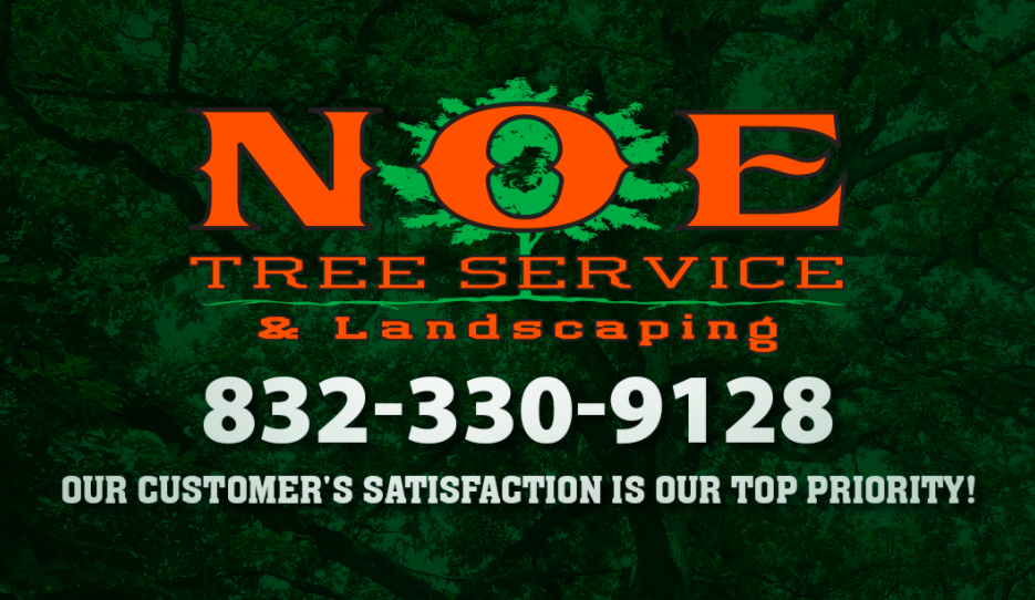 NOE Tree Service & Landscaping