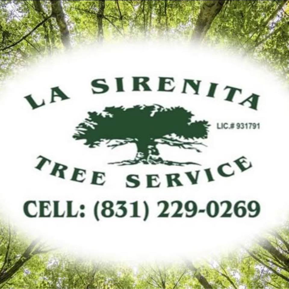 La Serenita Tree Service