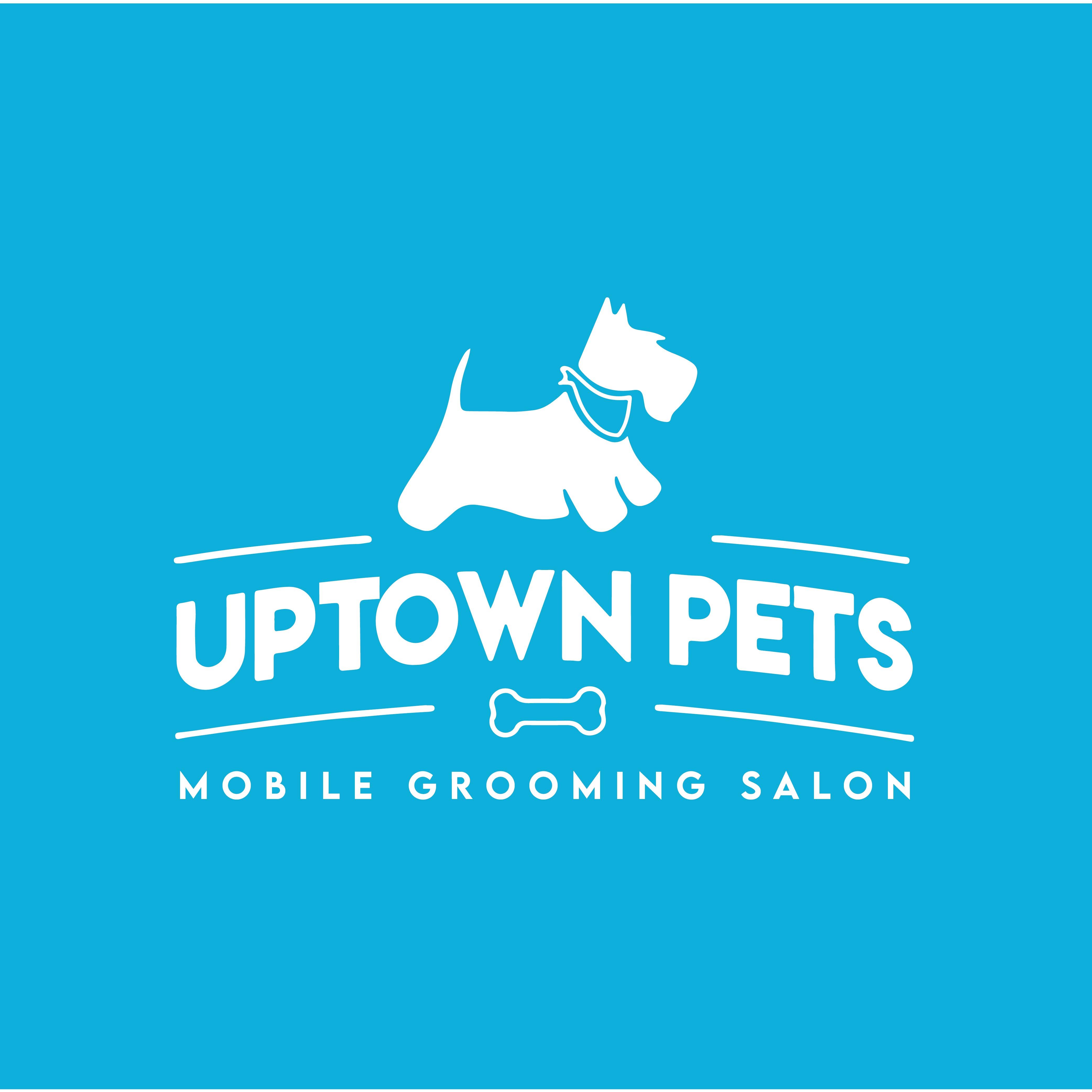 Uptown Pets Mobile Grooming Salon