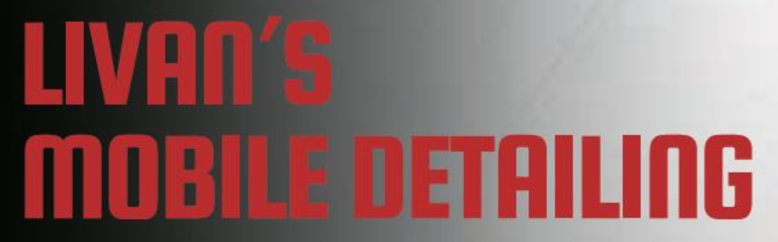 Livan's Mobile Detailing