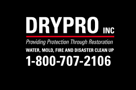 DryPro Inc.