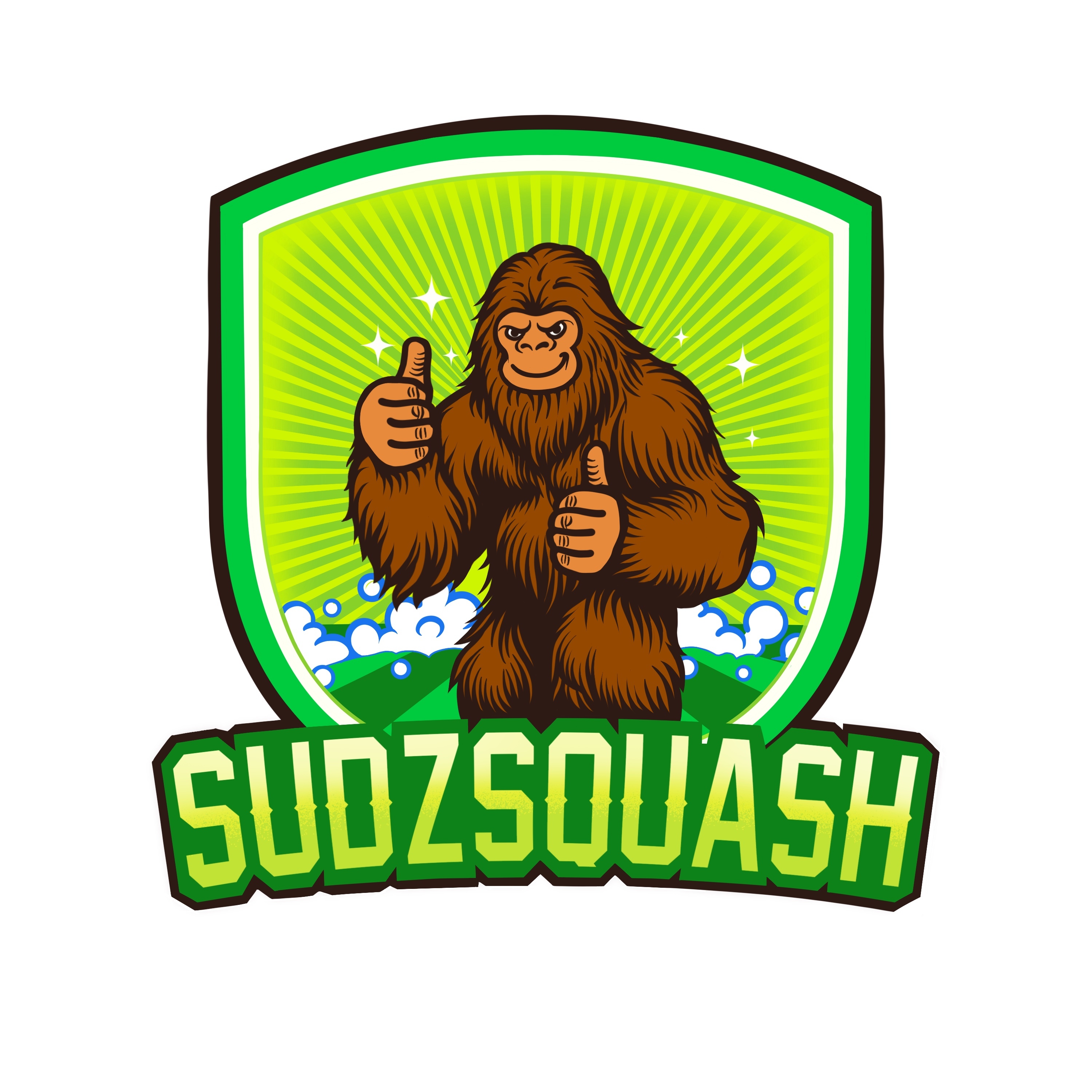 Sudzsquash Turf Clean