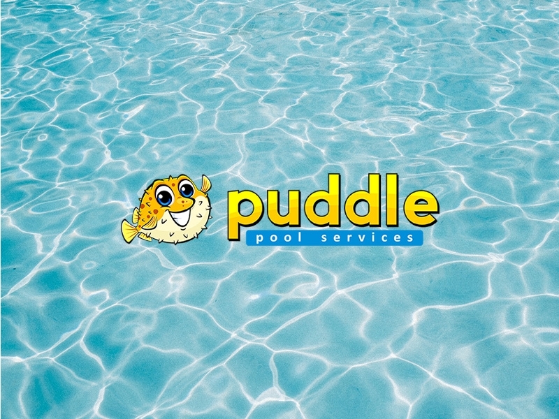 Puddle Pool Service