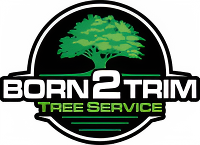 Born 2 Trim Tree Service