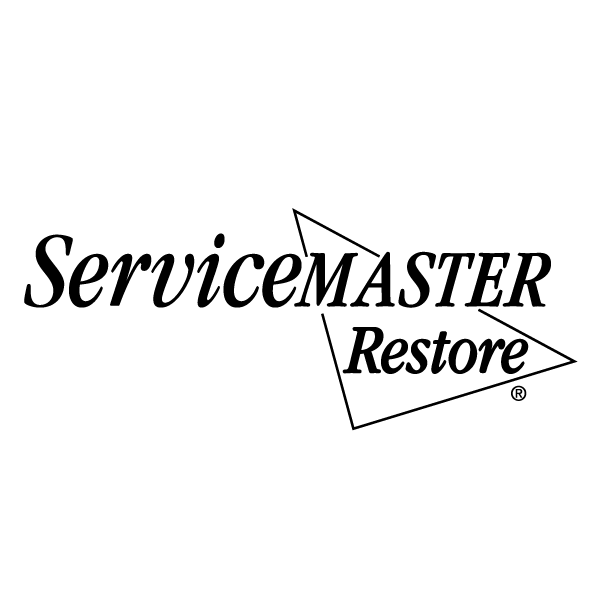 ServiceMaster DSI
