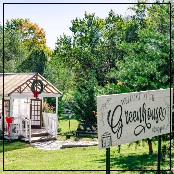 Sara Cassidy Photography