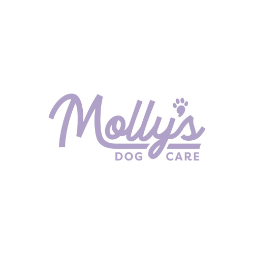 Molly's Dog Care Chevy Chase