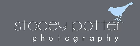 Stacey Potter Photography