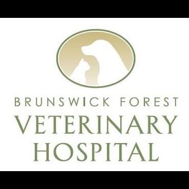 Brunswick Forest Veterinary Hospital