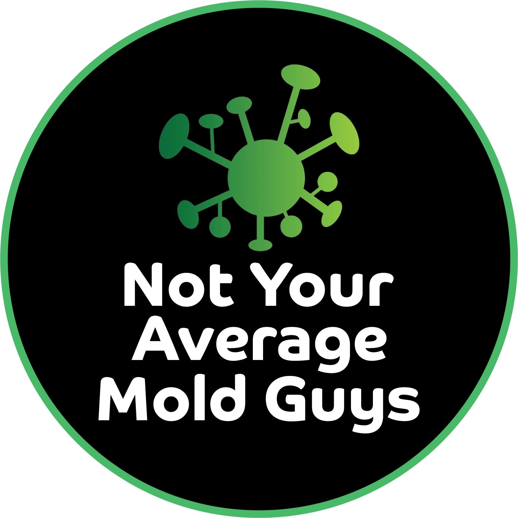 Not Your Average Mold Guys