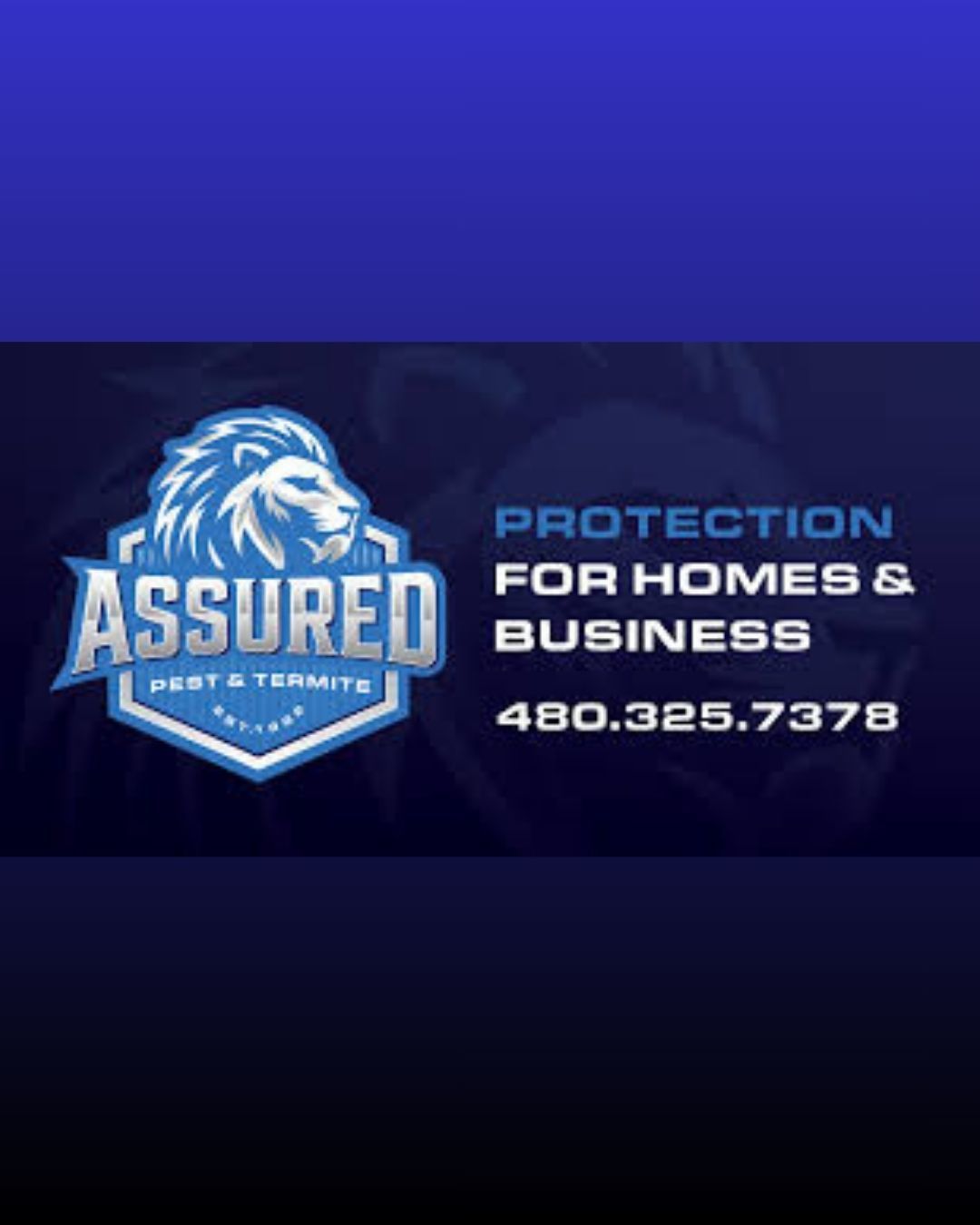 Assured Pest & Termite