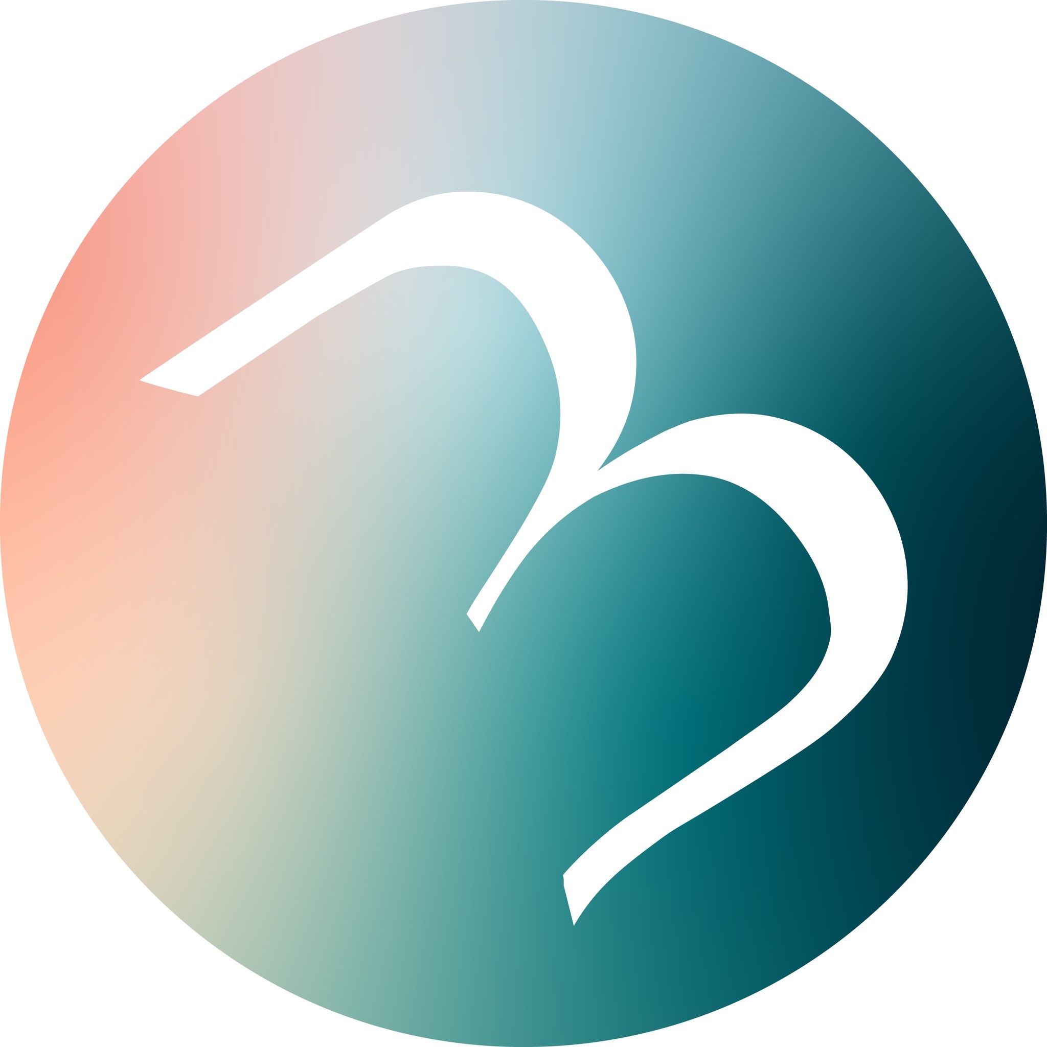 Big Moves Physical Therapy & Performance