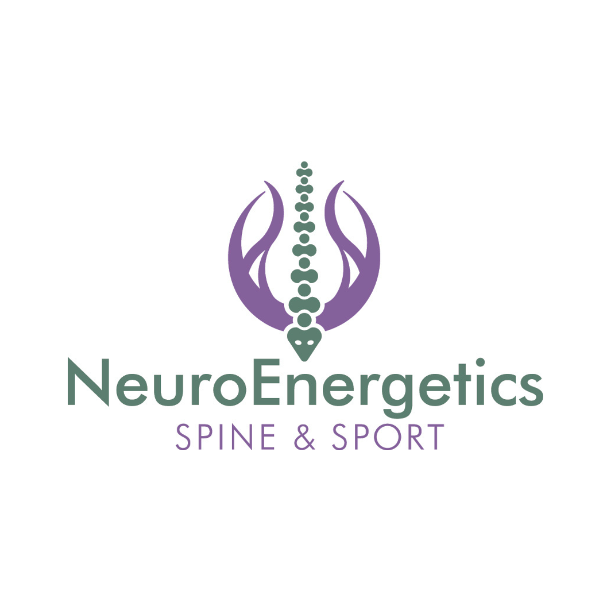 Neuro Energetics Spine and Sport