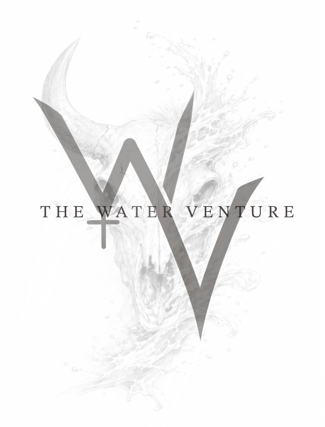 The Water Venture