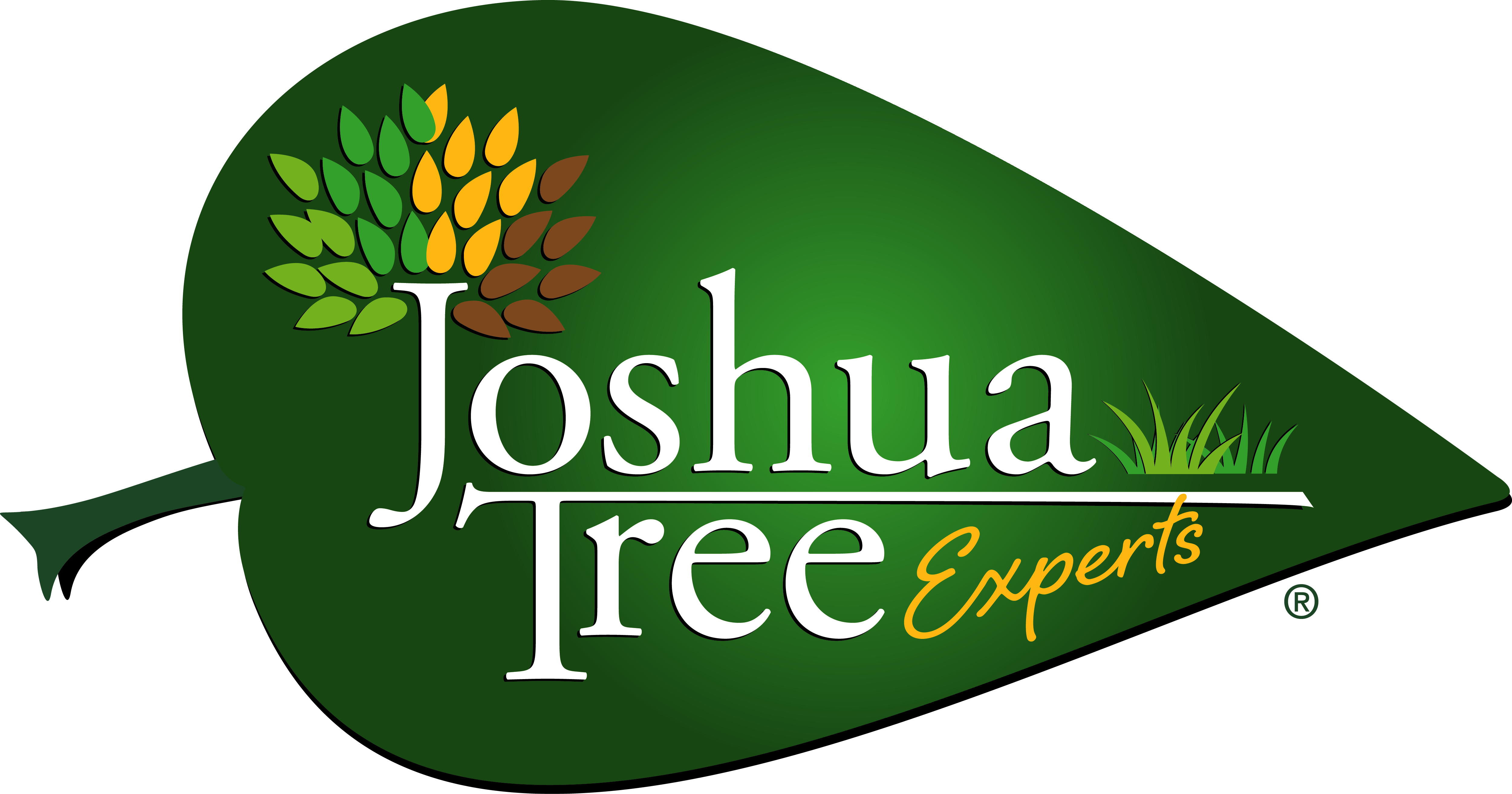Joshua Tree Experts