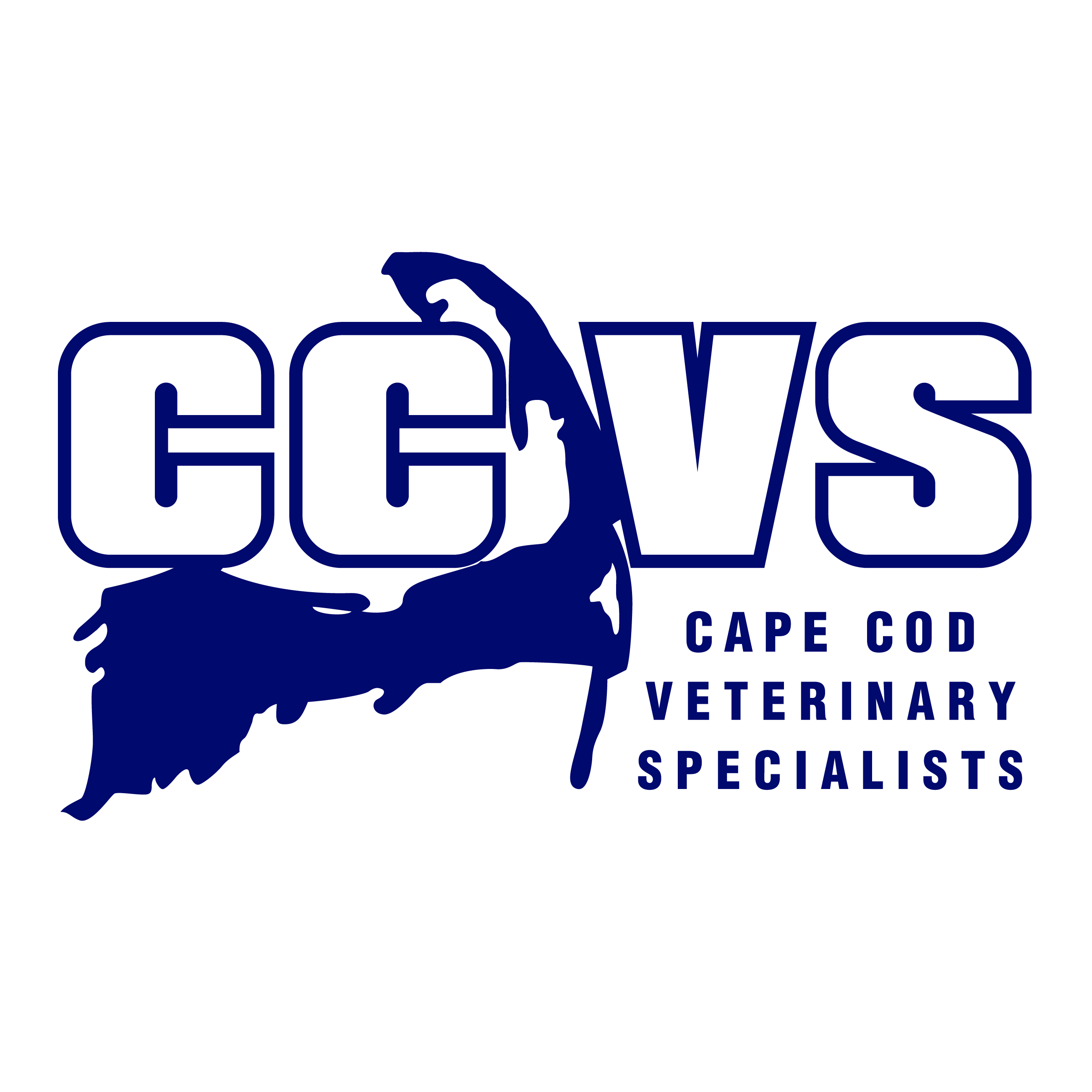 Cape Cod Veterinary Specialists