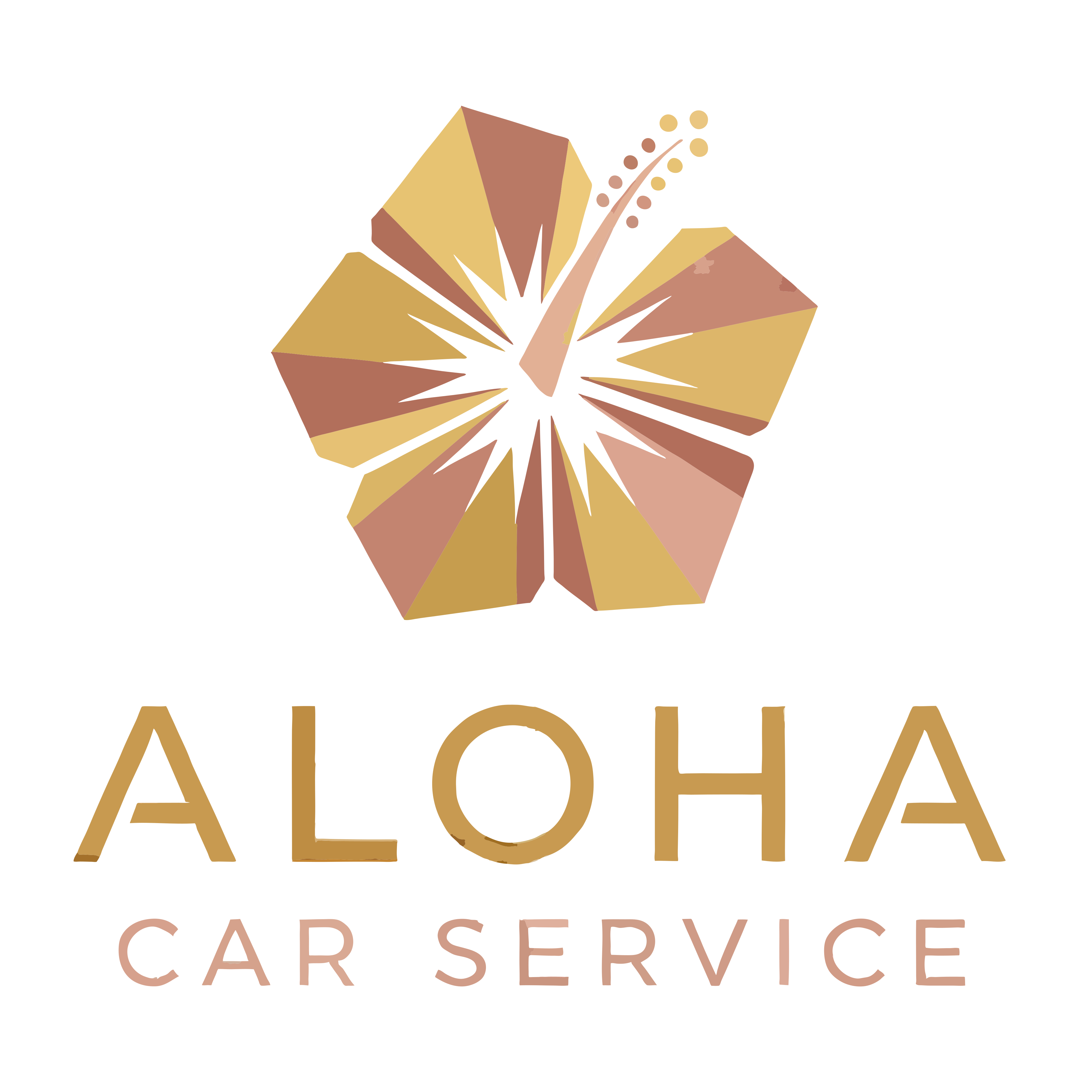 Aloha Car Service
