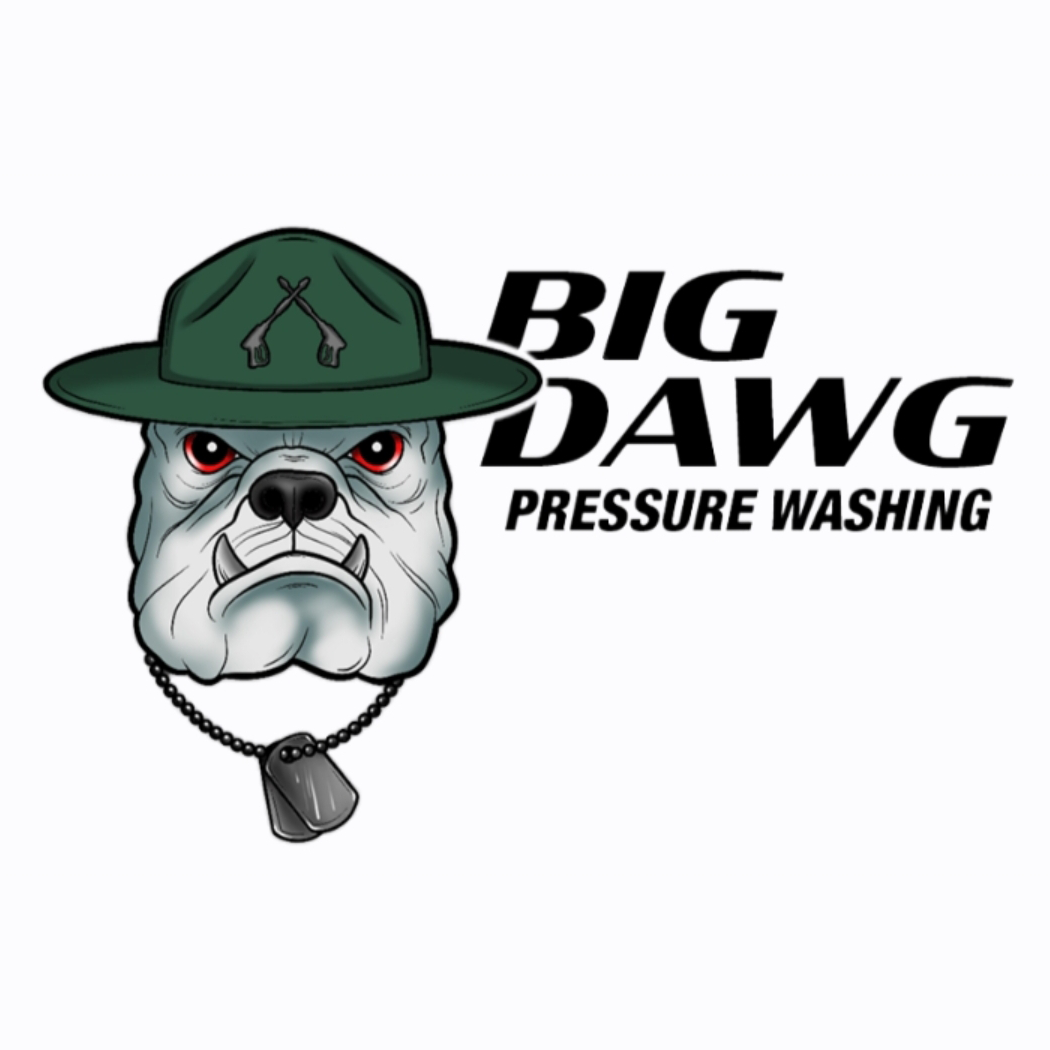 Big Dawg Pressure Washing