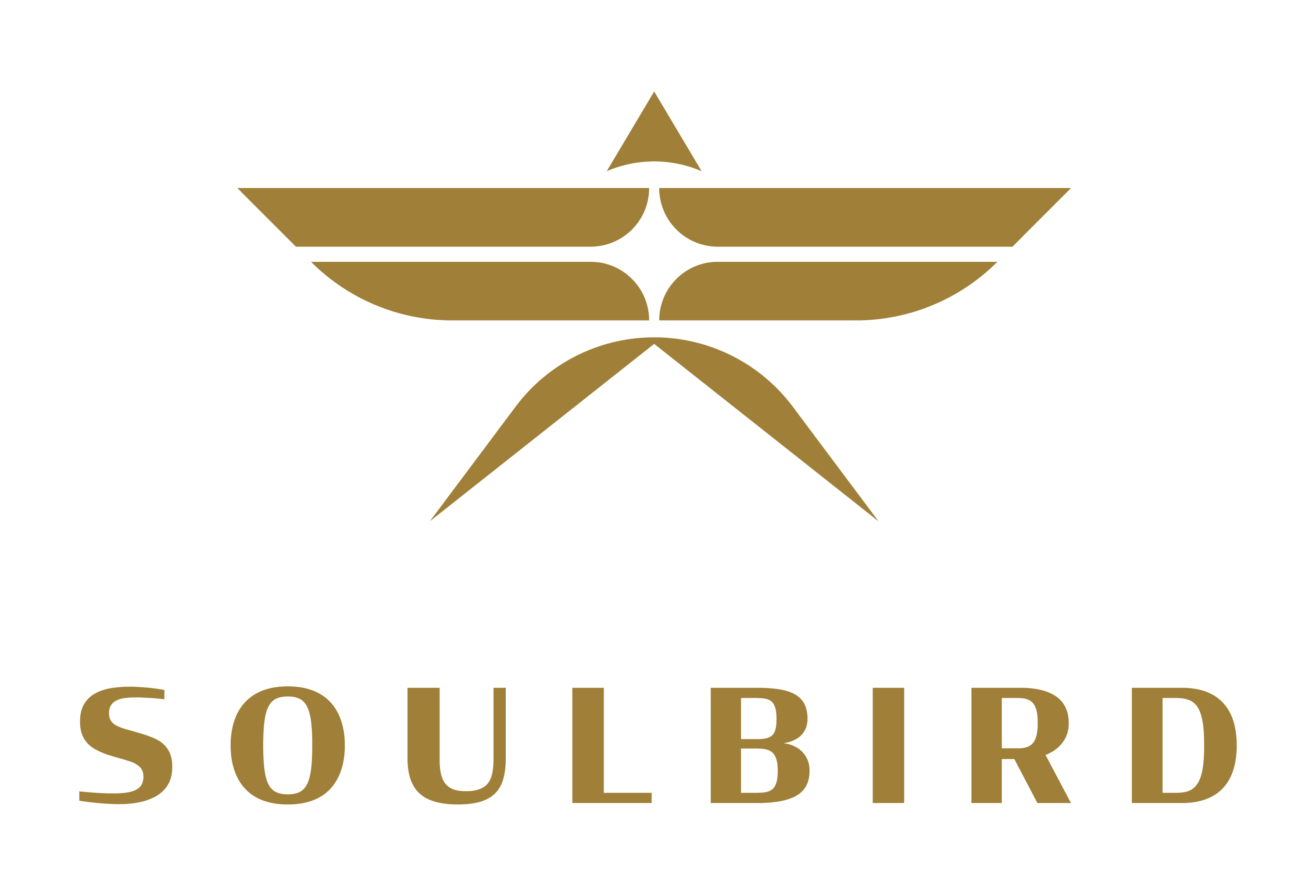 Soulbird LLC